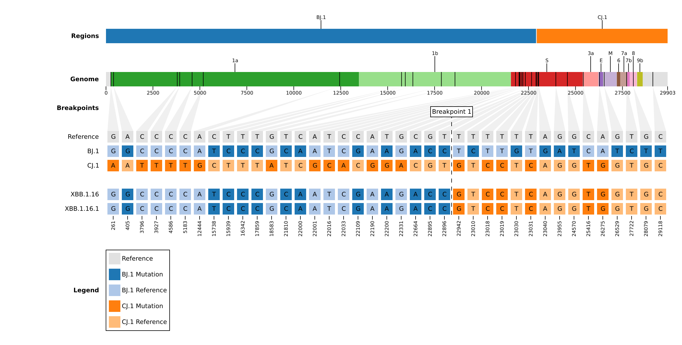 A plot of the breakpoints and parental regions for the recombinant SARS-CoV-2 lineage XBB.1.16. At the top are rectangles arranged side-by-side horizontally. These are colored and labelled by each parent (ex. BJ.1., CJ.1) and are intepreted as reading left to right, 5' to 3'. Below these regions are genomic annotations, which show the coordinates for each gene. At the bottom are horizontal tracks, where each row is a sample, and each column is a mutation. Mutations are colored according to which parent the recombination region derives from.